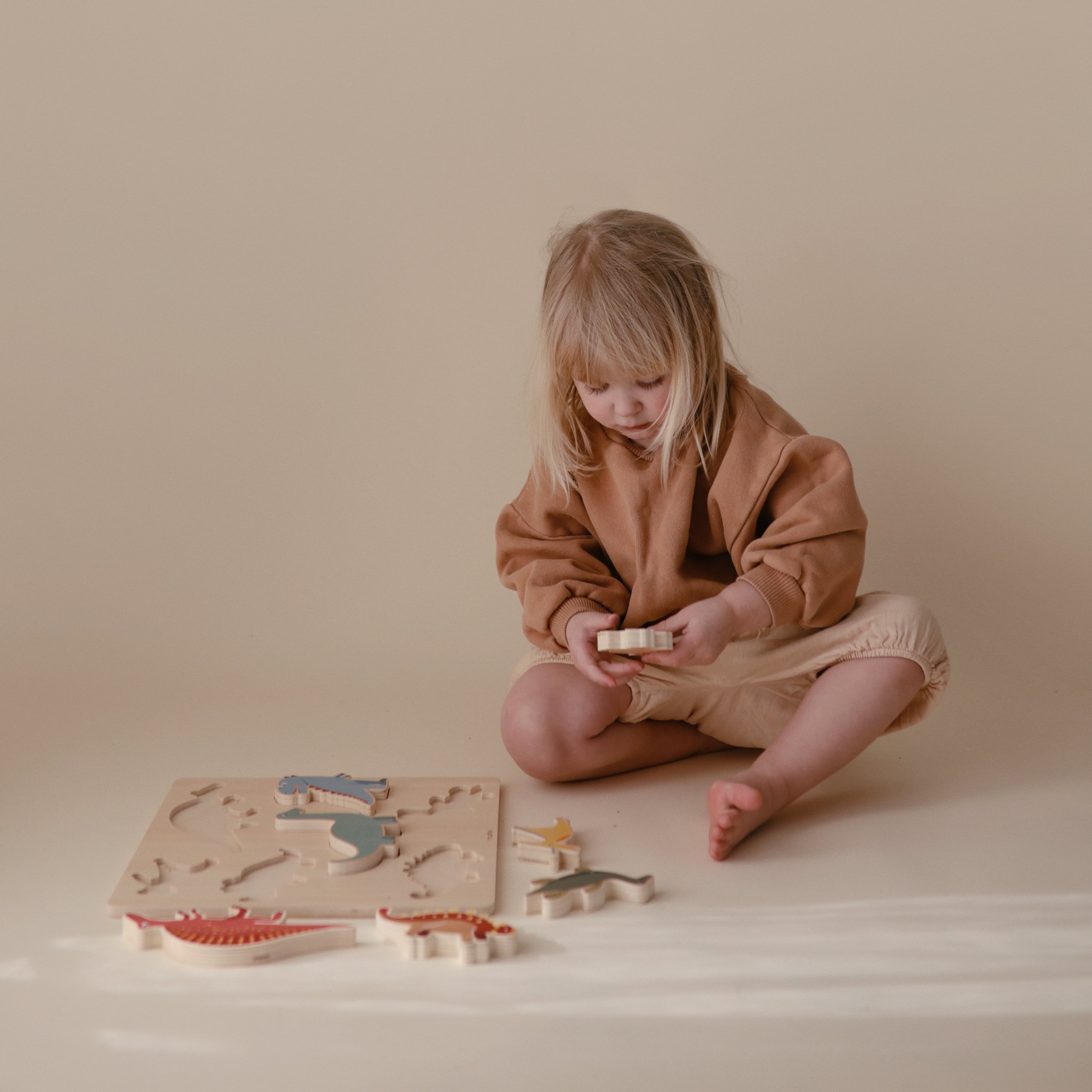 Image of Wooden Dino Puzzle
